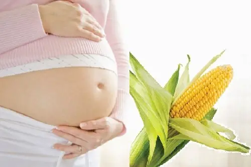 Bà Bầu Ăn Ngô Luộc Có Tốt Không
