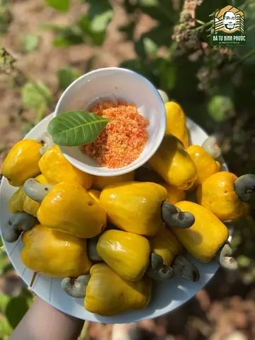 Bà Bầu Ăn Nhiều Hạt Điều Có Tốt Không