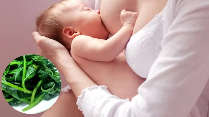 Bà Bầu Ăn Nhiều Rau Lang Có Tốt Không