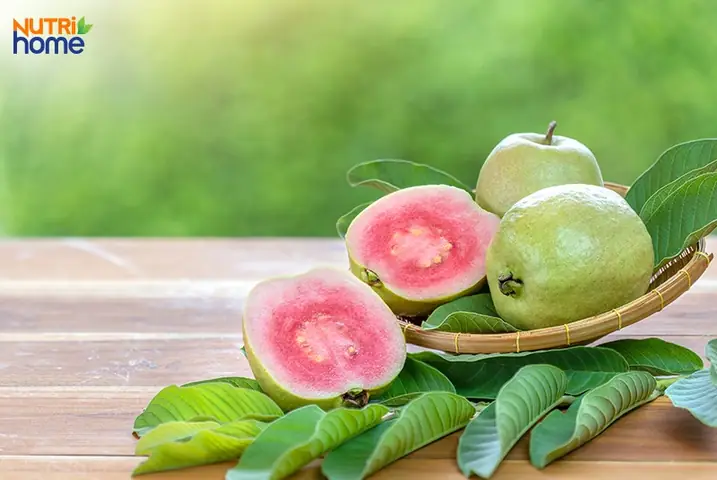 Bà Bầu An Ổi Có Tốt Không