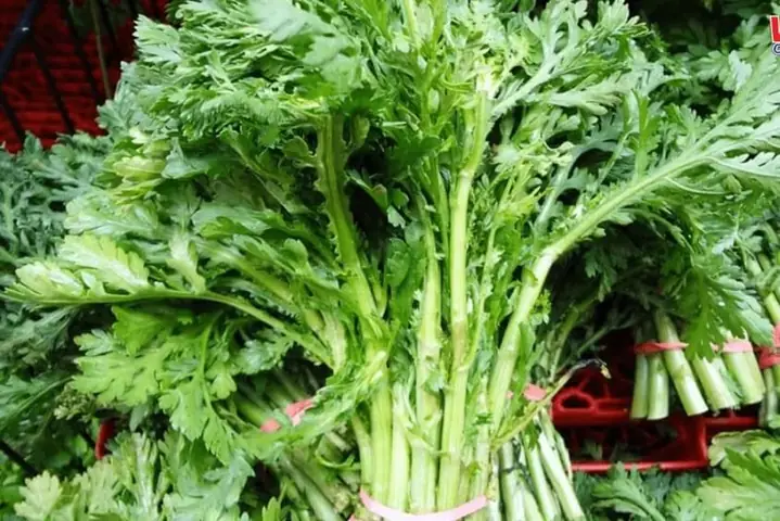 Bà Bầu Ăn Tần Ô Được Không