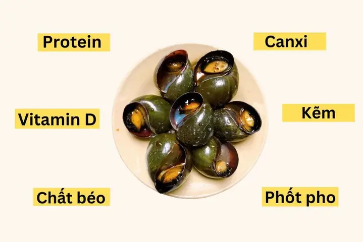 Bà Bầu Ăn Tôm Đồng Có Tốt Không