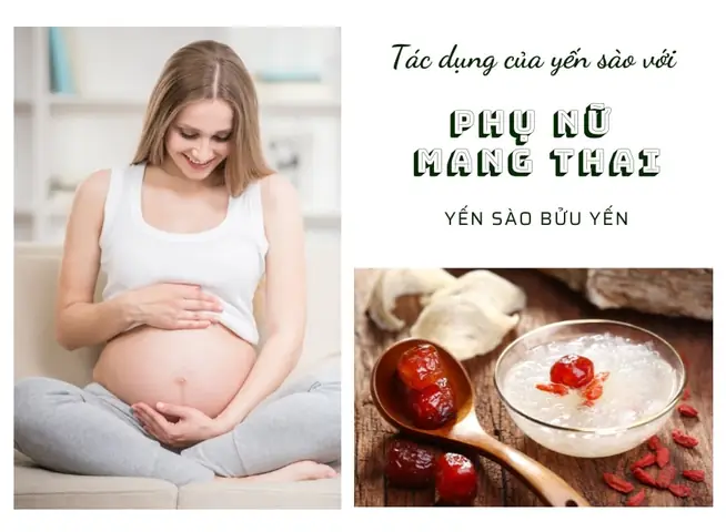 Bà Bầu Ăn Yến Sào Có Tác Dụng Gì