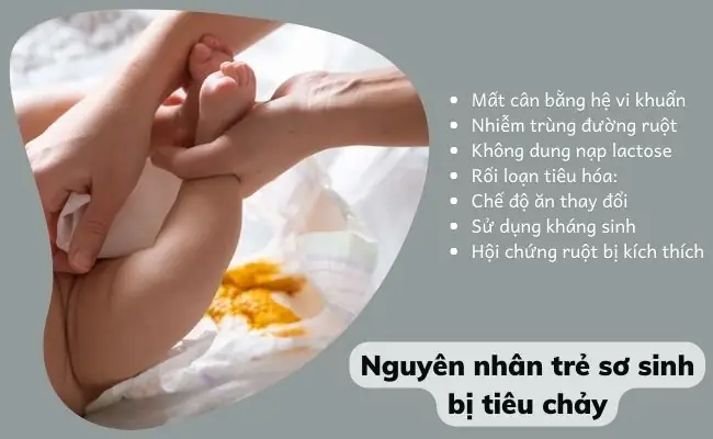 Bà Bầu Bị Tiêu Chảy Chữa Như Thế Nào