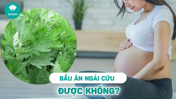 Bà Bầu Có Ăn Được Lá Ngải Cứu Không