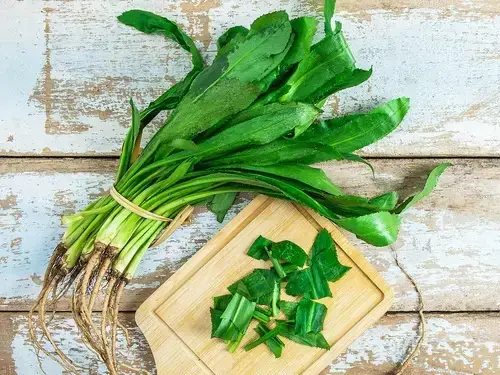 Bà Bầu Có Ăn Được Rau Mùi Không