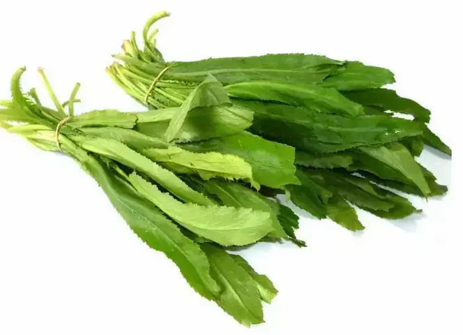 Bà Bầu Có Ăn Được Rau Mùi Không