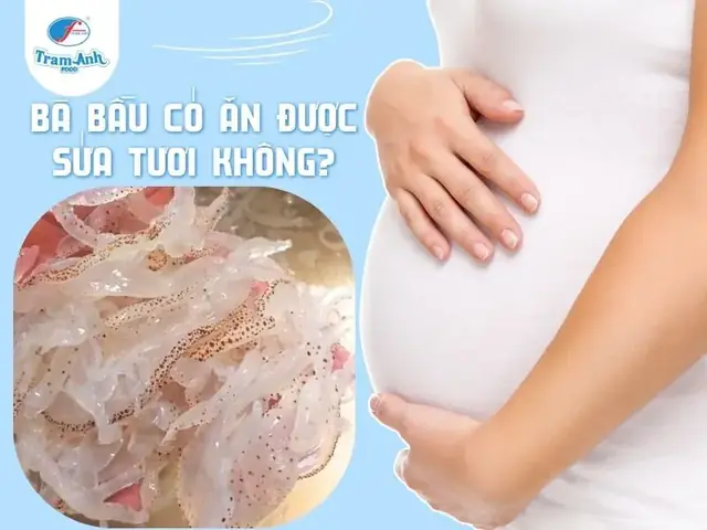 Bà Bầu Có Ăn Được Sứa Không