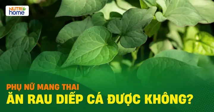 Ba Bau Co An Rau Diep Ca Duoc Khong