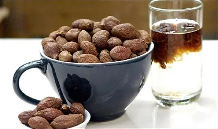 Bà Bầu Có Được Ăn Hạt Đười Ươi