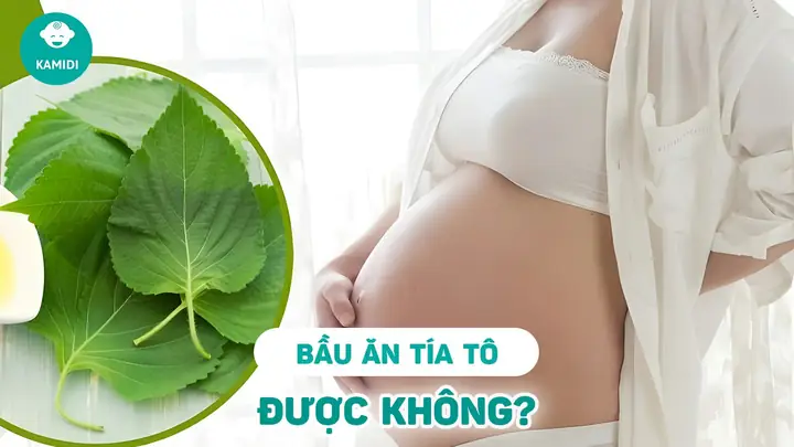 Bà Bầu Có Được Ăn Lá Tía Tô Không
