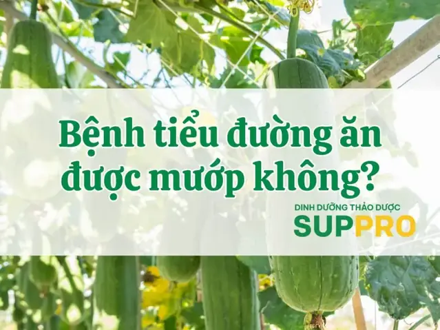 Bà Bầu Có Được Ăn Ngọn Mướp