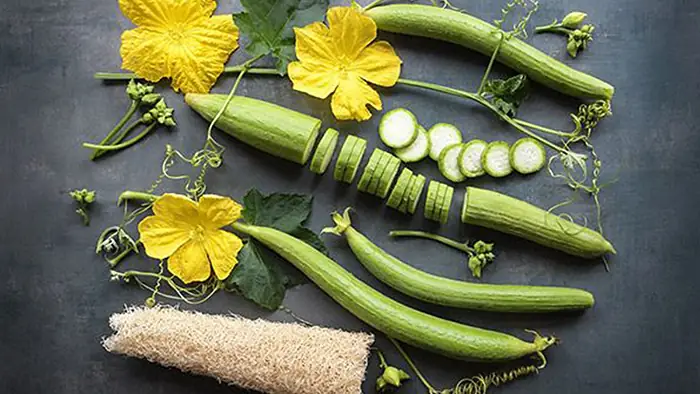 Bà Bầu Có Được Ăn Ngọn Mướp