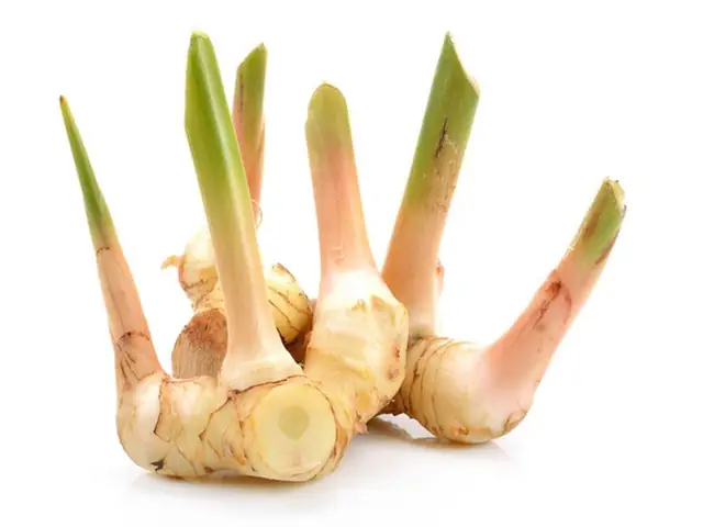 Bà Bầu Có Được Ăn Riềng Sả Không