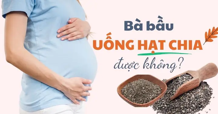 Bà Bầu Có Nên Ăn Hạt Chia