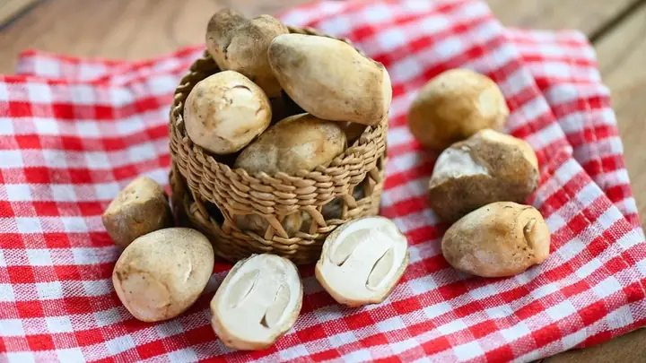 Bà Bầu Có Nên Ăn Nấm Rơm