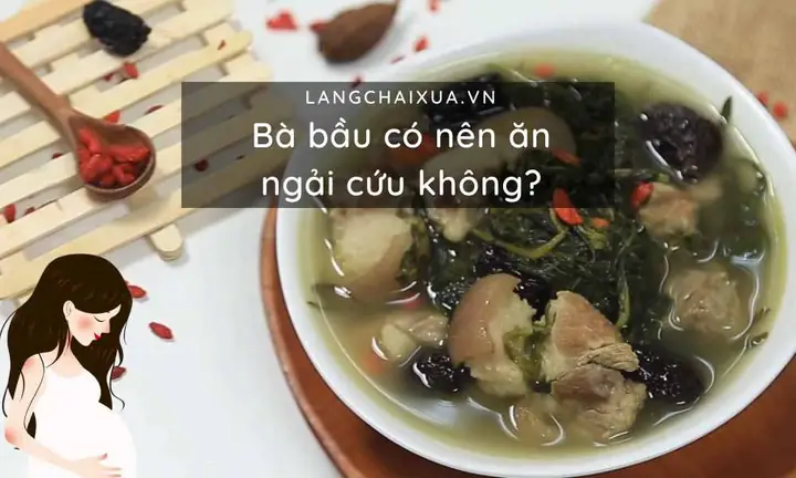 Bà Bầu Có Nên Ăn Ngải Cứu Không