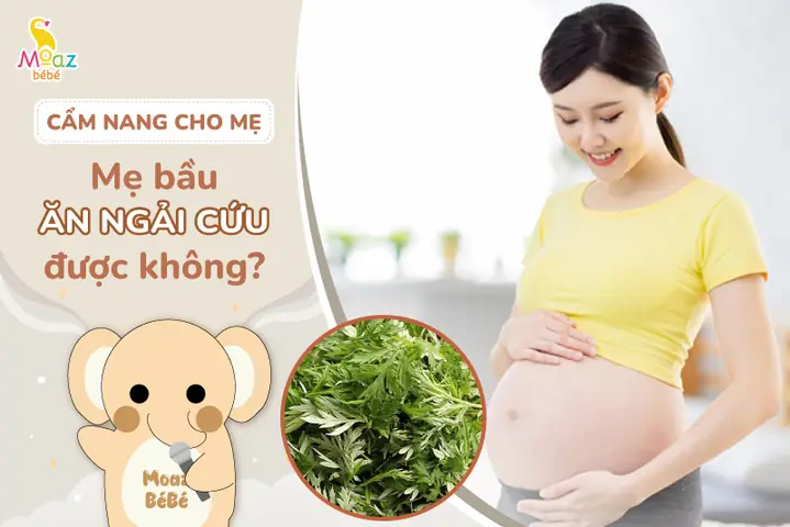 Bà Bầu Có Nên Ăn Ngải Cứu Không