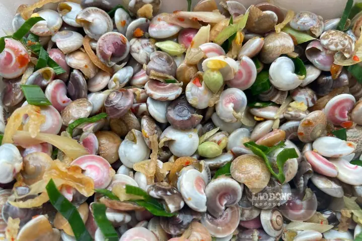 Bà Bầu Có Nên Ăn Ốc Lễ