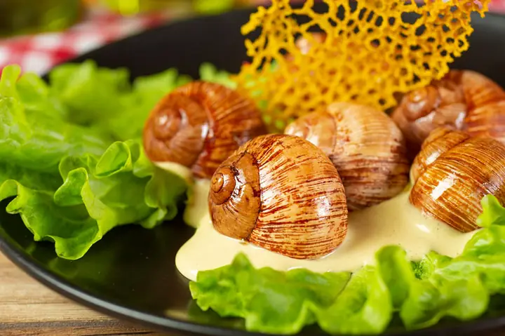 Bà Bầu Có Nên Ăn Ốc Trong 3 Tháng Đầu