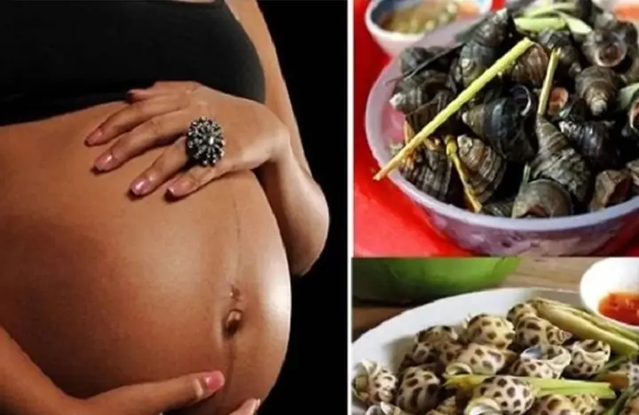 Bà Bầu Có Nên Ăn Ốc Trong 3 Tháng Đầu