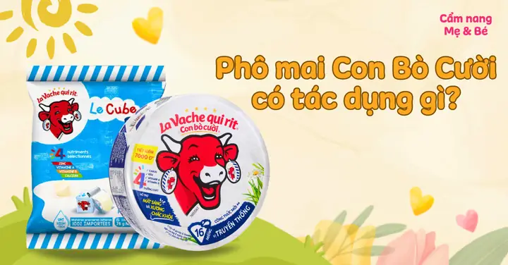 Bà Bầu Có Nên Ăn Phomai Con Bò Cười Không