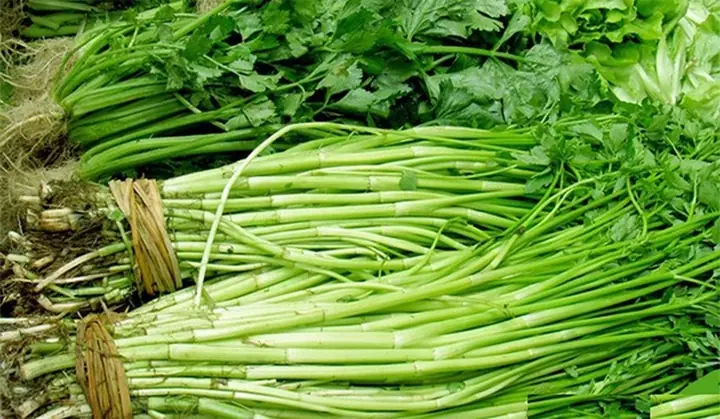 Bà Bầu Có Nên Ăn Rau Cần Nước Không