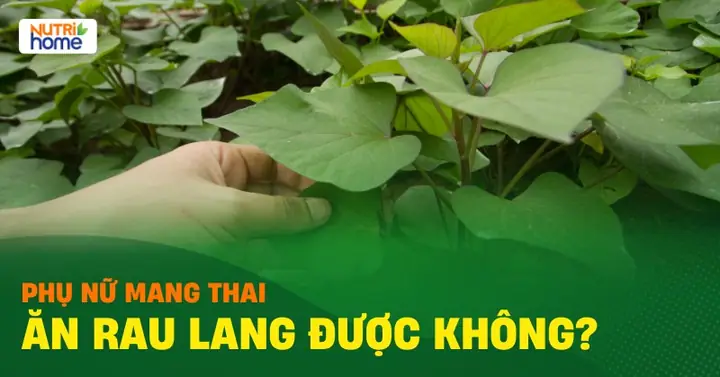Bà Bầu Có Nên Ăn Rau Lang