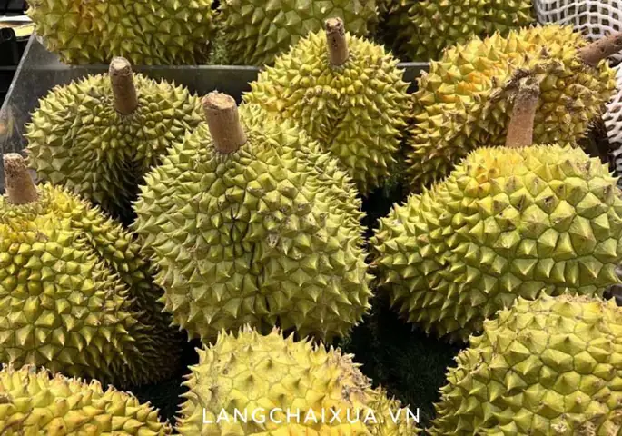Ba Bau Co Nen An Sau Rieng