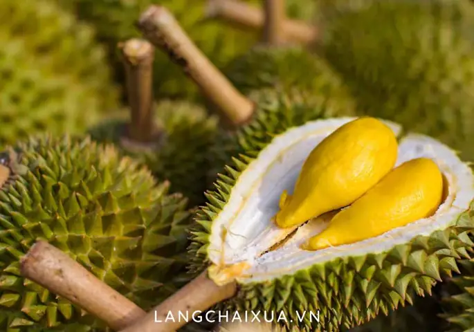 Ba Bau Co Nen An Sau Rieng