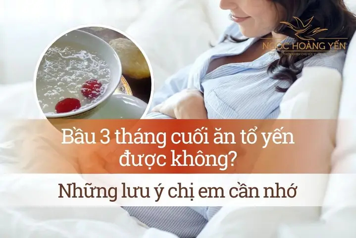 Bà Bầu Có Nên Ăn Tổ Yến