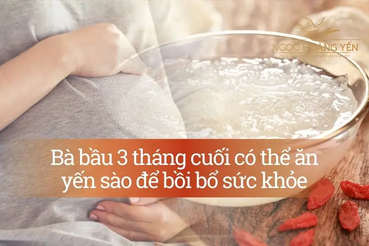 Bà Bầu Có Nên Ăn Tổ Yến