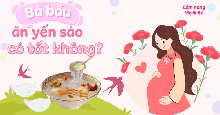 Bà Bầu Có Nên Ăn Tổ Yến