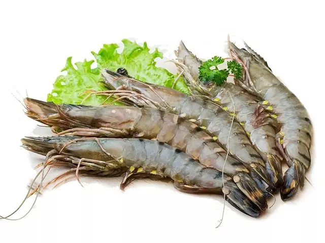 Bà Bầu Có Nên Ăn Tôm Biển