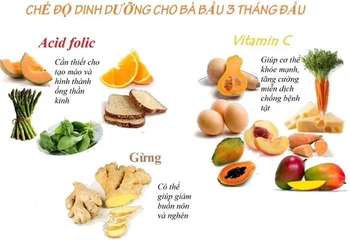 Bà Bầu Giai Đoạn Đầu Nên Ăn Gì