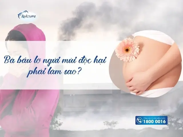 Bà Bầu Ngửi Mùi Dầu Gió