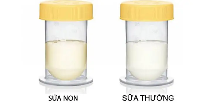 Ba Bau Thang Thu May Co Sua Non