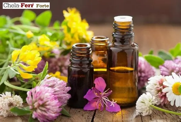 Bà Bầu Thoa Dầu Được Không Bà Bầu Thoa Dầu Được Không