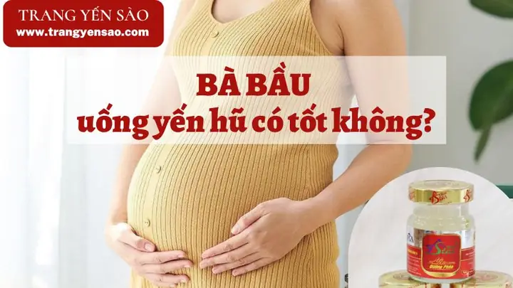 Bà Bầu Uống Yến Chưng Được Không