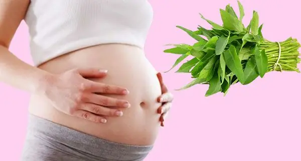Bà Đẻ Ăn Đc Rau Muống Ko