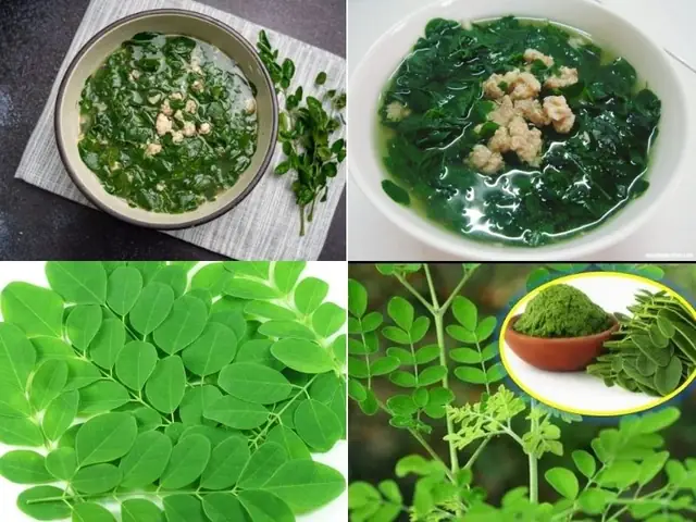 Bà Đẻ Ăn Rau Chùm Ngây Có Tốt Không