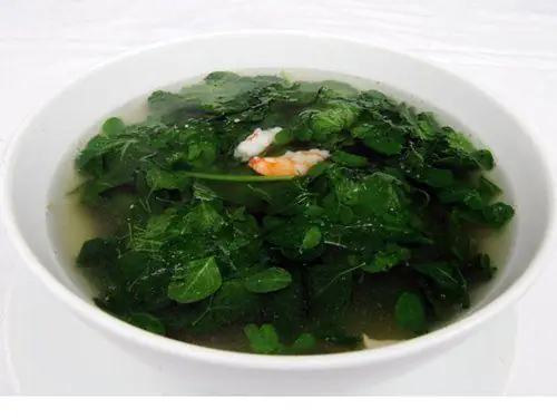 Bà Đẻ Ăn Rau Chùm Ngây Có Tốt Không