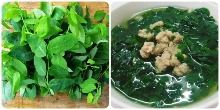 Bà Đẻ Ăn Rau Ngót Nhiều Có Tốt Không