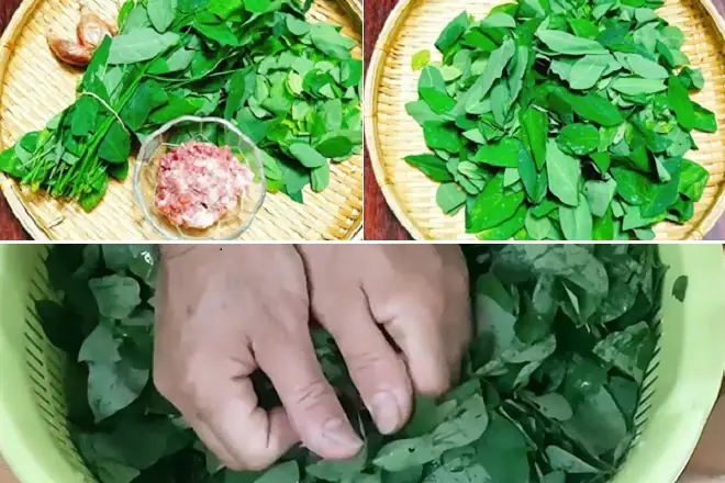 Bà Đẻ Ăn Rau Ngót Nhiều Có Tốt Không