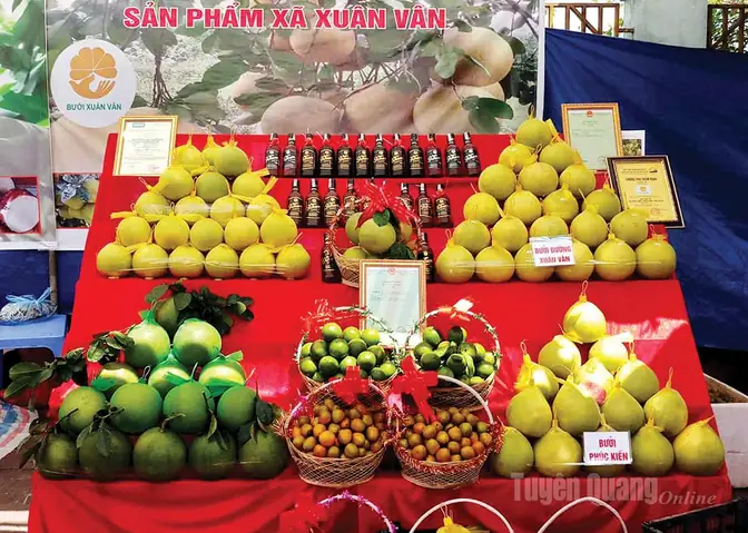 Bà Đẻ Có Ăn Được Bưởi Ngọt Không