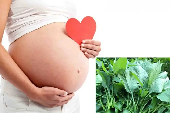 Bà Đẻ Có Ăn Được Rau Tầm Bóp Không