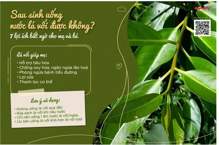 Bà Đẻ Có Được Uống Lá Vối Không