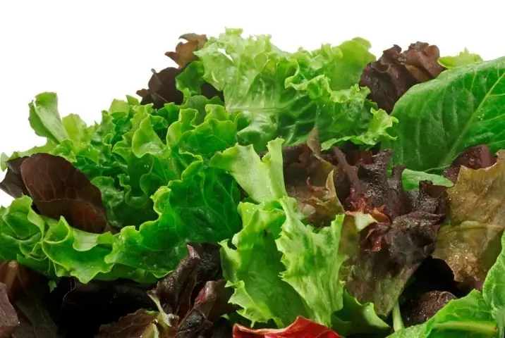 Bà Mẹ Sau Sinh Nên Ăn Rau Gì
