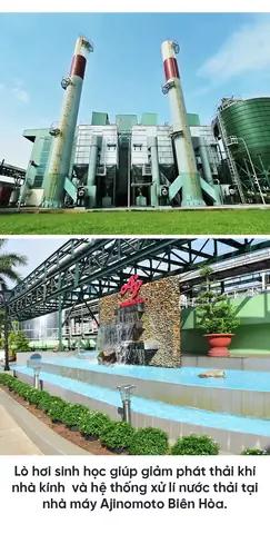 Bà Mẹ Và Trẻ Em Ở Biên Hòa