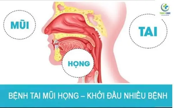 Bác Sĩ Tai Mũi Họng Quận 5